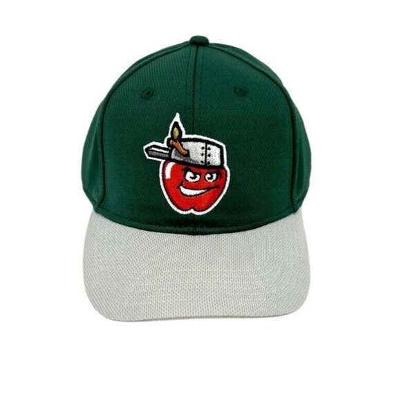 FORT WAYNE Tincaps Baseball Hat Cap Youth One Size Genuine Merchandise *SEE - Picture 4 of 7